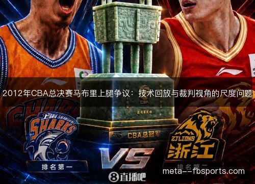 2012年CBA总决赛马布里上腿争议：技术回放与裁判视角的尺度问题