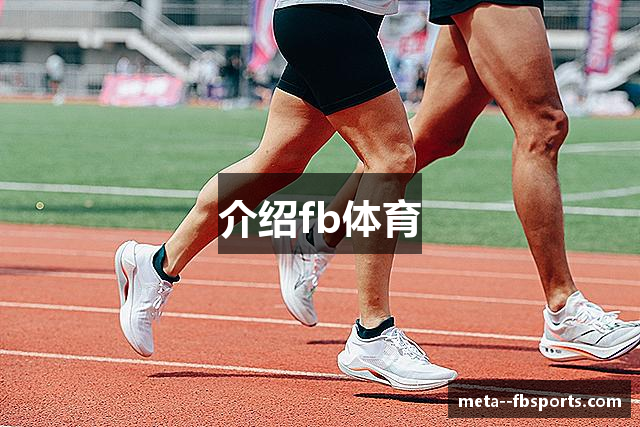 介绍fb体育